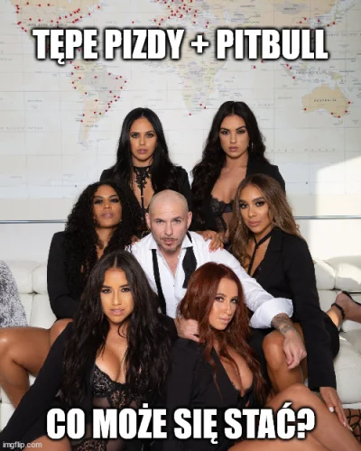 PIAN--A_A--KTYWNA - Czy tylko ja mam dosyć tej patologi? #psy #pitbull #polska #polic...