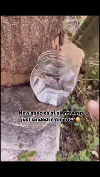 b0dyload - Niesamowite stworzenie, przyjrzyjcie się jaki ma wzór na grzbiecie!