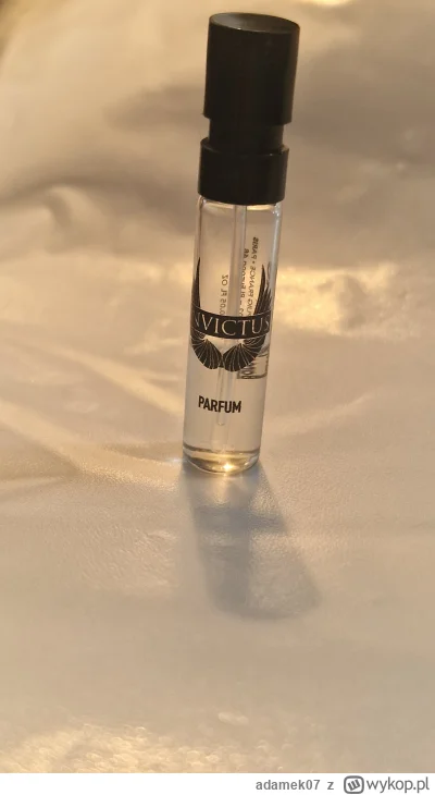 adamek07 - Czy ktoś na tagu orientuje się jaka to może być odmiana invictusa?

Mam ta...