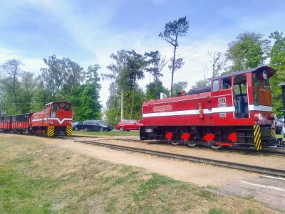 sylwke3100 - Czerwone ciufcie czyli Lyd2 na przystanku Wenecja Muzeum należącym do Żn...