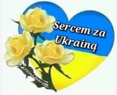 kochamcovid - Wszystkim fajnoukraińcom z tagu #ukraina życzę dobrej, spokojnej nocy.