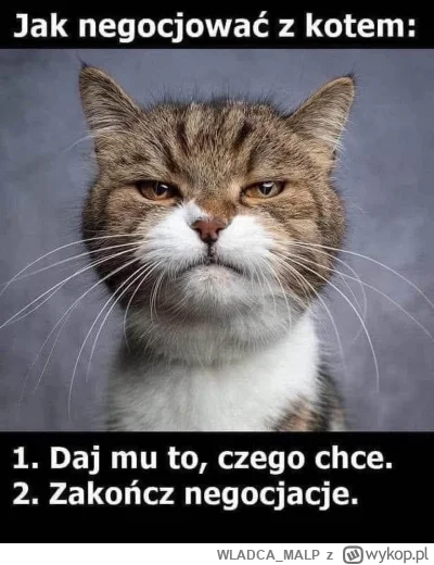 WLADCA_MALP - #kitku #heheszki