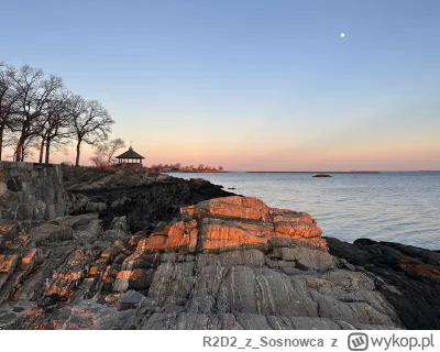 R2D2zSosnowca - Fajną miejscówkę odkryłem ( ͡° ͜ʖ ͡°)
Manor Park, Larchmont #newyork ...