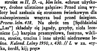 hzmurek - @mjrbien: "Stroisz" jest polskim słowem. Tylko raczej specjalistycznym. 
Dz...