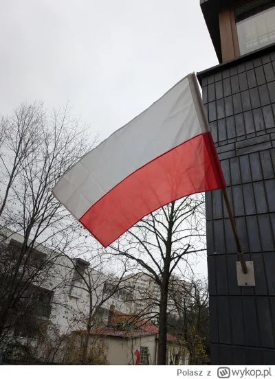 Polasz - Szanujesz plusujesz 
#polska #11listopada #swietoniepodleglosci