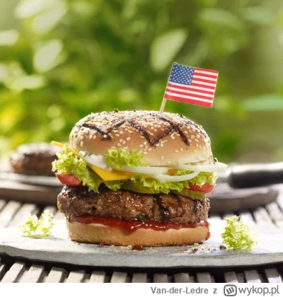 Van-der-Ledre - W sumie to za kebabami jakoś nie przepadam. Jestem raczej fanem amery...