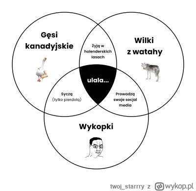 twoj_starrry - #sebcel 

po prostu