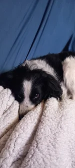 dos_badass - #urodziny
chuop ma dzisiej urodziny, ale nikt mu nie pogratulował bo jes...