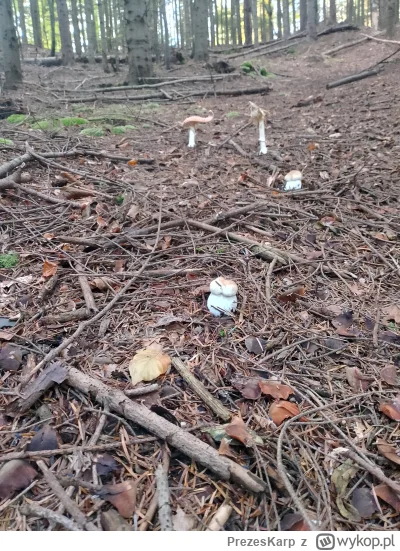 PrezesKarp - Chyba trafiłem na ustawkę. 2 młodych Borobyczków kontra starzy wyjadacze...