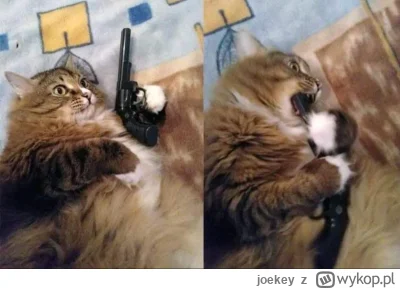 joekey - @SlepyBazant: jaaaaa prdle to już nawet nie jest śmieszne, czy oni sobie zda...