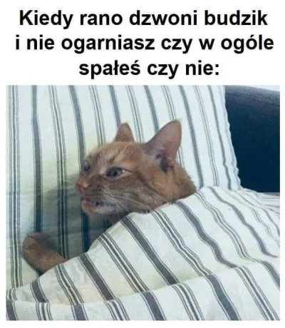 warszawiak39 - @lagrande: tymczasem za 5h