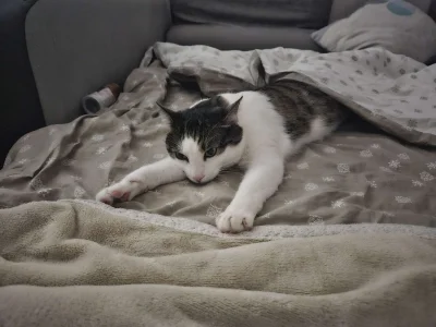 zero-jeden - @MidnightCowboy  kolega pozdrawia.