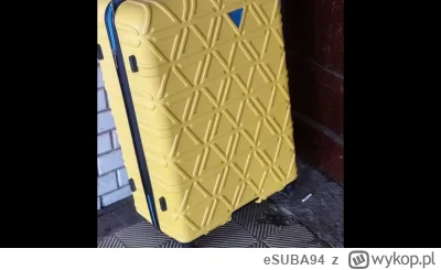 eSUBA94 - Mieszkaniec Żar zapomniał walizki z dworca PKP
został zatrzymany, skuty i d...