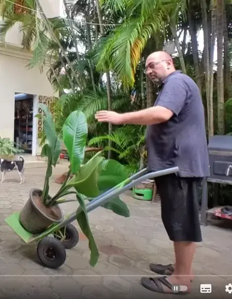 imdb - @NAZWATYMCZASOWA: