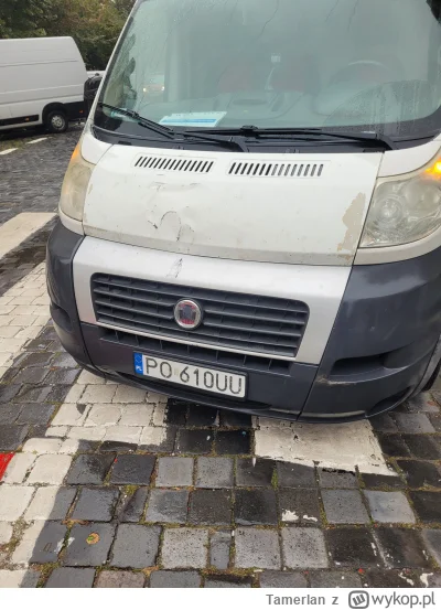 Tamerlan - @Tamerlan: