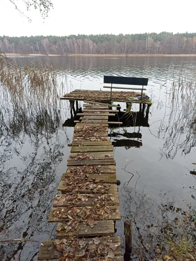 Baczny_Obserwator - #przegryw #spierdotrip