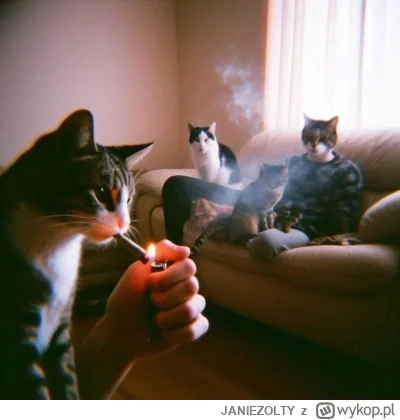 JANIEZOLTY - #aikitku