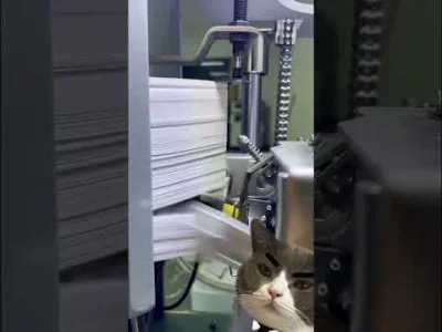 miszczu90 - #przeciekizmatury #przecieki #matura2026 ( ͡º ͜ʖ͡º)