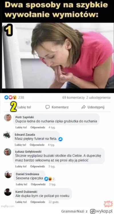 GrammarNazi - #przegiolemco