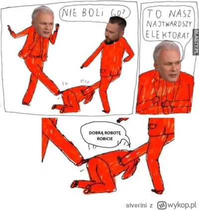 alverini - #polityka #kanalzero