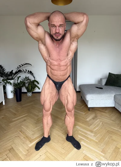 Lewusx - @StonkaM: Lubię żółwie ninja.