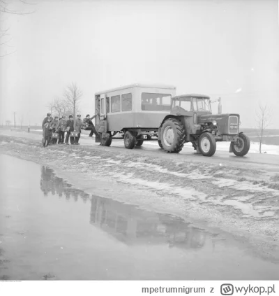 mpetrumnigrum - .
#pracbaza #wypadek #jakumierasiewlesie #las #gruparatowaniapoziomu
...