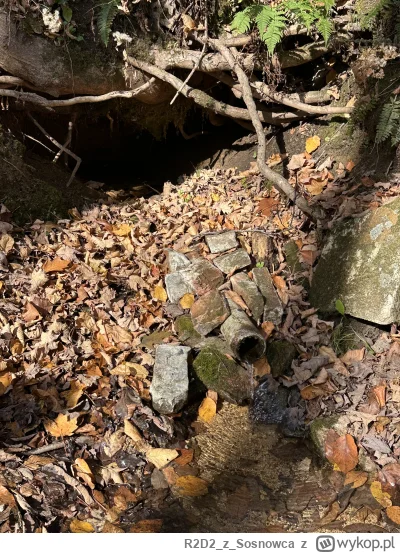 R2D2zSosnowca - @R2D2zSosnowca ᶘᵒᴥᵒᶅ