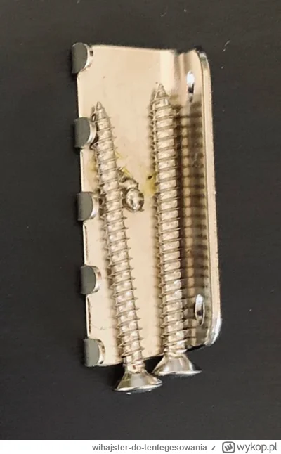 wihajster-do-tentegesowania - @ActiZ: Spokojnie, to nie są krótkie wkręty.