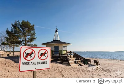 Caracas - Fiński porządek kontra polska samowolka: Dlaczego twój pies na plaży to dow...