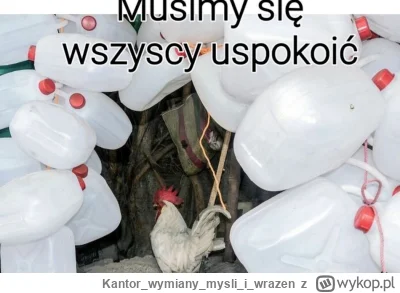 Kantorwymianymysliiwrazen - @tojestmultikonto: To dedykowany mem dla ciebie. └[⚆ᴥ⚆]┘