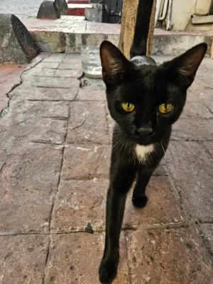 Wrrronika - @Wrrronika: a tu Wiedźmin na koniec