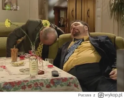 Pucuss - Niech coś jebnie 

#f1