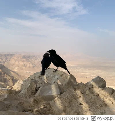 bastianbastiante - @IMPERIUMROMANUM: Niesamowite miejsce, na pewno jeden z najbardzie...