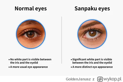 GoldenJanusz - atrakcyjni ludzie mają zawsze ten drugi typ oczu 
brutalny #eyepill (╯...