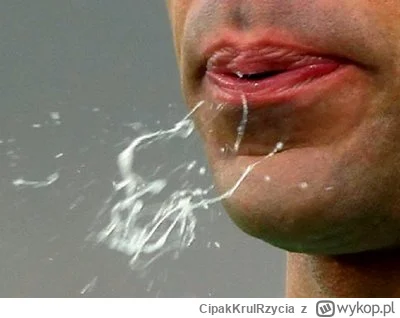 CipakKrulRzycia - #bakiewicz #duda #polityka