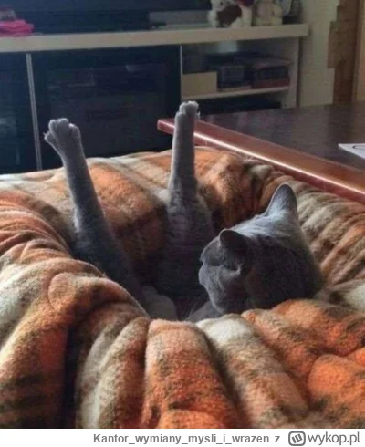 Kantorwymianymysliiwrazen - @fastmotion: Zalicza się?