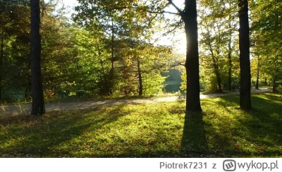 Piotrek7231 - #lodz #ocieplaniewizerunkumiastalodzi #ciekawostki 

Las Łagiewnicki – ...