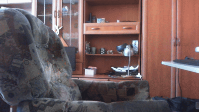 ManletBirdcelWristcelIncelTruecel - @dywanikudyrektora: