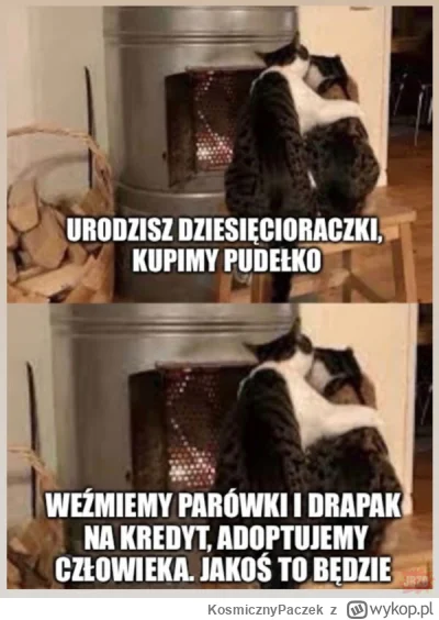 KosmicznyPaczek - #kitku #smiesznekotki #humorobrazkowy #heheszki