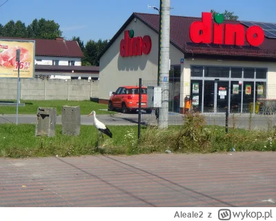 Aleale2 - #zwierzeta Bocian pod Dino, wie co dobre.