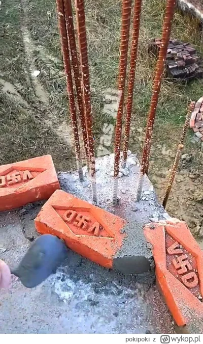 pokipoki - Cegły już przyszły z niemieckiego Amazona to można się zabrać za robotę.
#...