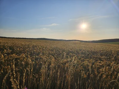 penkroff - #przegryw kiedy jest mi źle mówię światu nie i idę na łąkę gdzie Joszko gr...