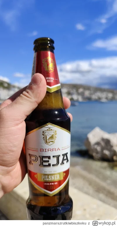 panzmarszrutkiwbiszkeku - @ChlopoRobotnik2137: pamiętam to piwko z Albani