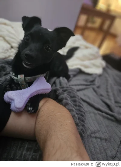 Pasiak420 - @Kacman90   @Nowaczke Tofu pozdrawia ziomeczków