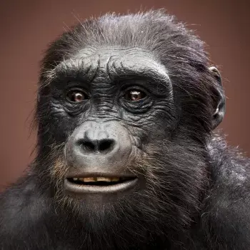 Atreyu - @FFFFUUUU: to jest taki frazes z lekcji biologii, bo zwyczajnie w czasach te...