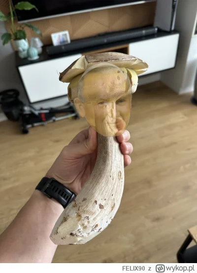 FELIX90 - @mirabelka2137: ( ͡° ͜ʖ ͡°)