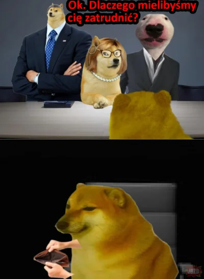 schnippen_schnappen - #heheszki #cheems ( ͡° ͜ʖ ͡°)