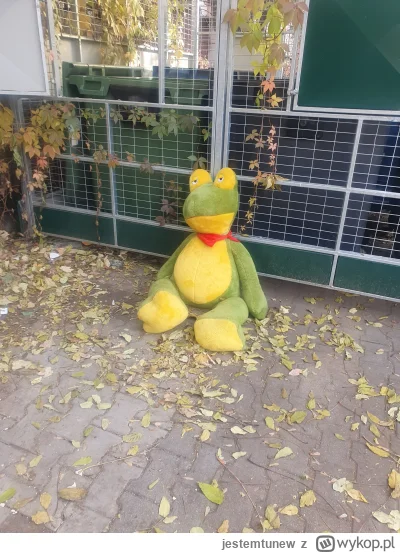 jestemtunew - Tymczasem zabka #gielda