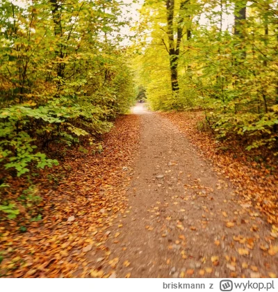 briskmann - Siemano Miruny.
Chcialem sie podzielic radoscia, jaka mnie ostatnio spotk...