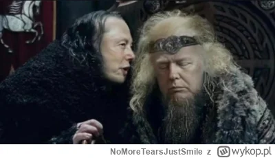 NoMoreTearsJustSmile - #elonmusk #musk #usa #heheszki #lotr #wladcapierscieni